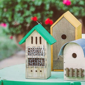 Camping Beauregard Plage - Onze verbintenissen - insectenbescherming