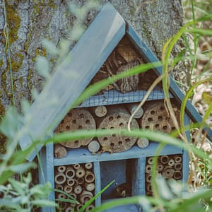 Camping Beauregard Plage - Onze verbintenissen - Insectenkast onder bomen