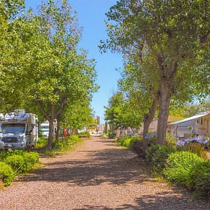Beauregard Plage Campsite - Confort XXL Pitch - Pitches alleyway