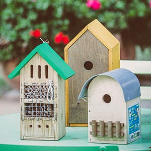 Camping Beauregard Plage - Onze verbintenissen - insectenbescherming