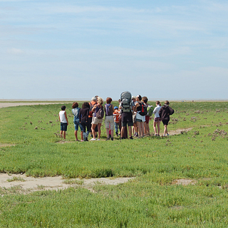 Group having a nature trip out, birdwatching in the Baie de Somme © Somme Tourisme