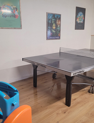 Table de ping-pong couverte