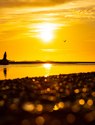 Regarder le coucher de soleil dans la Baie de Somme au Crotoy ©Shutterstock