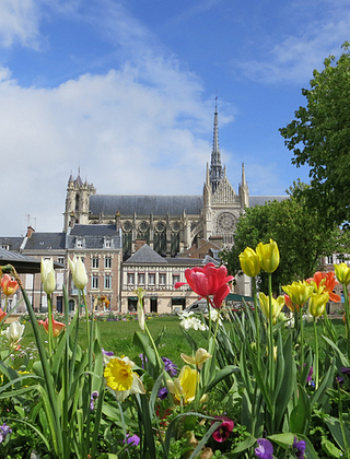 Cathédrale d\'Amiens