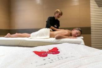 Le Brasilia campsite, Papillon Spa, massage