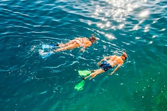 Camping la Sirène - Activités et animations - Snorkeling