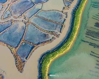 Les Couleurs de la Coubre - Charente-Maritime - Vue aérienne des parcs a huitres et claire dans le bassin de marennes oléron en charente maritime