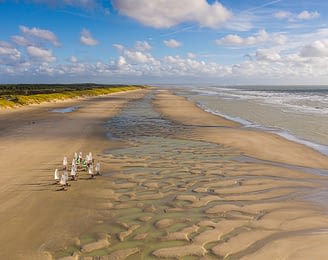 Domaine de Drancourt - Baie de Somme - Les chars-à-voile sur la plage de Quend