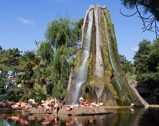 Les Couleurs de la Coubre - Charente-Maritime - L\'Ile au flamand rose - Zoo de la Palmyre