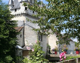 Le Parc du Val de Loire - Loir et Cher - Château de Loches Citée Royale de Loches Indre et Loire