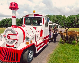 Le Parc du Val de Loire - Loir et Cher - Safari Zug - Beaumarchais Reservat - Rehe und Rehkitze