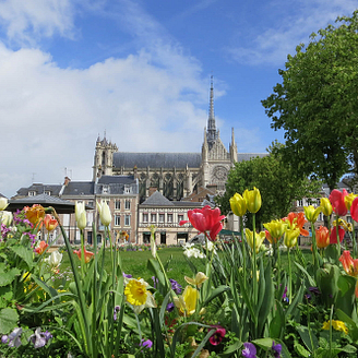 Die Kathedrale von Amiens © shutterstock