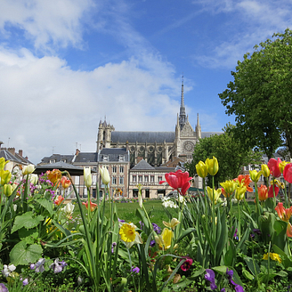 Amiens cathedral © Shutterstock