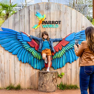 - Parrot World