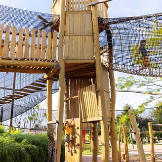 - Parrot World