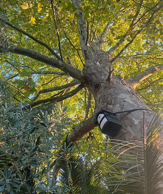 Nesting Box LPO Sanctuary - <g ctype=\"underlined\"> </g>Ecolodge L\'Etoile d\'Argens Campsite in Fréjus