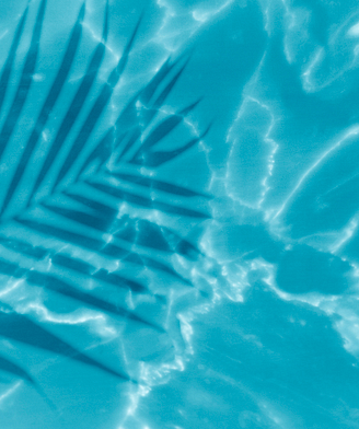 Le Bois de Valmarie campsite - Palm tree reflection in the swimming pool