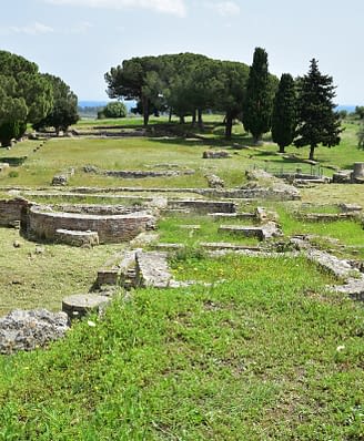 Domaine de Bagheera, Expérience, Ruines romaines d'Aléria