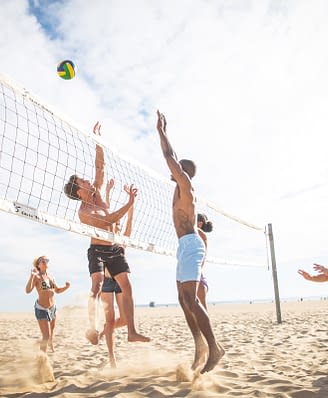 Domaine de Bagheera, Activités, Volleyball