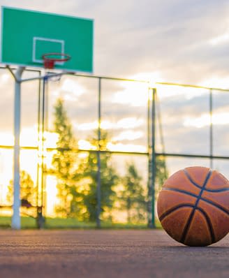 Domaine de Bagheera, Activités, Basketball