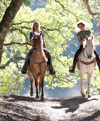Domaine de Bagheera, Activités, équitation