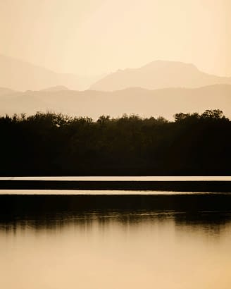 Domaine de Bagheera, Etang