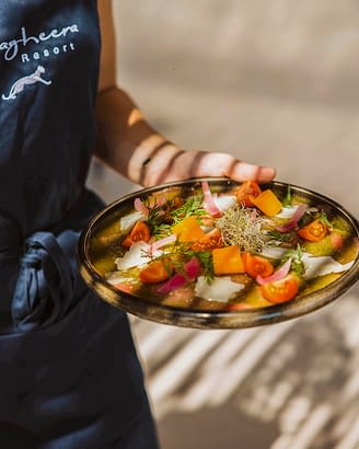 Domaine de Bagheera, Catering, Lunch on the terrace, Mediterranean starter