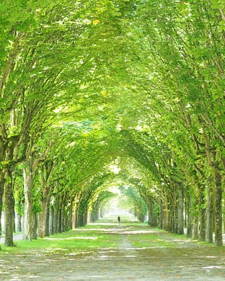 Jardins du château de Fontainebleau