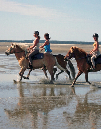 Baie de Somme - horse riding