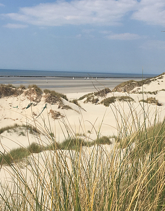 Dune de sable, plage en Baie de somme ©Nicolas Bryant