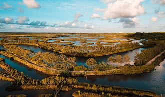 Destination Gironde - Vue aérienne de la réserve ornithologique du Teich