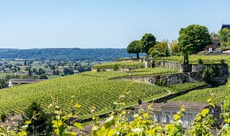 Bestemming Gironde - Wijngaard Saint-Emilion