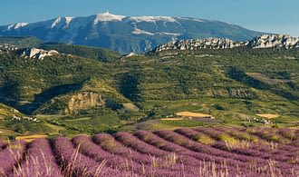 Bestemming Provence - Mont Ventoux