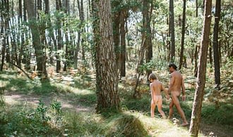 France 4 Naturisme - Environment - Walking in the forest