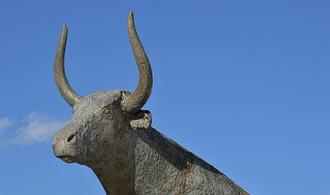 Reiseziel Les Landes - Museen von Chalosse, der Vorgeschichte und des Rennens von Les Landes.