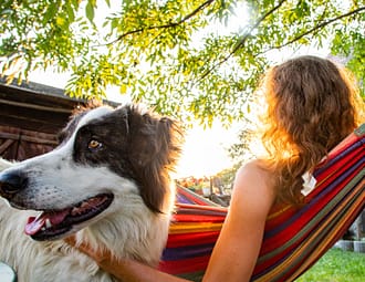 Camping Beauregard Plage - camping acceptant les chiens