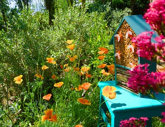&Eacute;crin de verdure en acc&egrave;s plage