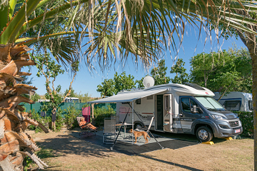 Camping Le Brasilia, emplacement pour camping car entouré de palmiers