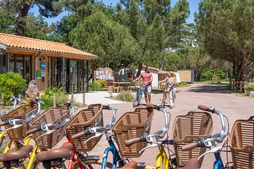 Camping Les Couleurs de la Coubre - Services - Bike rental - Couple renting bikes