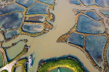Le Logis - Charente-Maritime - vue aérienne des parcs a huitres et claire dans le bassin de marennes Oléron