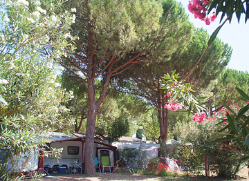 Motor-Home Pitch - Ecolodge L\'Etoile d\'Argens Campsite in Fréjus