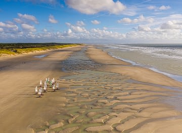 Domaine de Drancourt - Baie de Somme - Les chars-à-voile sur la plage de Quend