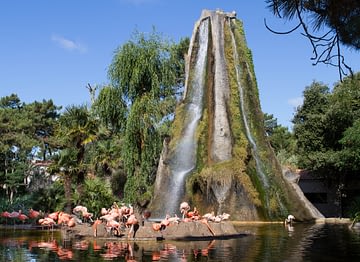 Les Couleurs de la Coubre - Charente-Maritime - L\'Ile au flamand rose - Zoo de la Palmyre