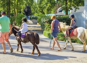 Camping Parc du Val de Loire -