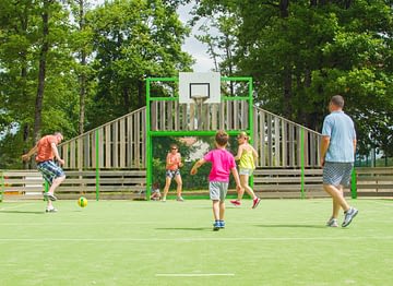 Camping Parc du Val de Loire -