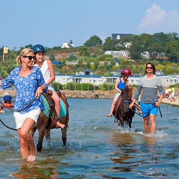 Les Mouettes campsite - Activities and entertainment - Family pony ride on the beach