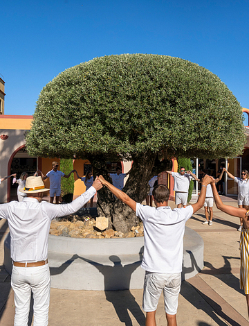 Camping Le Brasilia, diensten, dorpsplein, animatie
