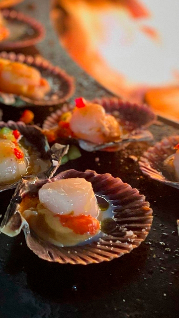 Sirène Holidays - Sirène Events - Service traiteur avec dégustations de fruits de mer