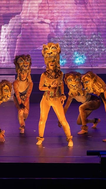 Camping la Sirène - Bars en restaurants - Sirène Arena - Voorstelling Lion King