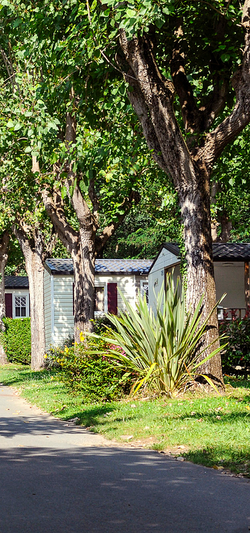 Camping Zelaia - The Campground - Green Alley